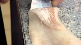 How to Skin an Atlantic Cod | 407