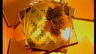 Куски рекламной и послерекламной заставок (БТ, 2002)