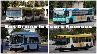Bus Action In Santa Barbara (Volume 3)