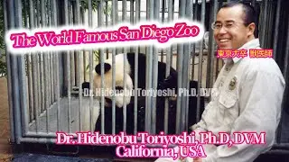 San Diego Zoo is the world's largest zoo.  Prof. Dr. Hidenobu Toriyoshi, Ph.D, DVM, D.M.Sc.
