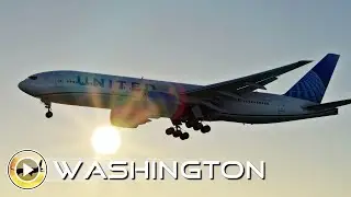Planespotting Washington Dulles International Airport | Ultra MSFS Graphic Settings 4K | RTX 4090