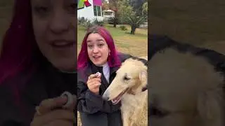 Maria Gracia is so cute! 🥰🩷🐩 