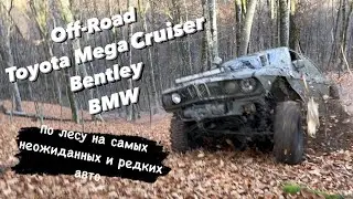 Mega Cruiser Bentley BMW и Нива сочинские леса на Offroad