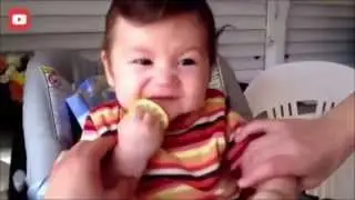 Funny Babies Eating Lemons for the First Time