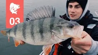Bass fishing on large bodies of water | In the big bass zone (2)