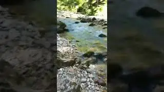 Спокойное течение реки Курджипс выше водопада. Поселок Мезмай