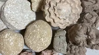 Как хрустит десерт 🧁 Печенье 🍪