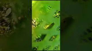 20 мая 2023 г.