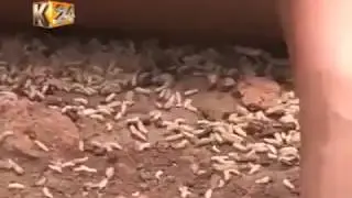 SOLUTION FOR CHEATING HUSBAND AND WIFE FOUND IN AFRICA THROUGH MAGIC POWER