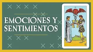 Las Copas en el Tarot