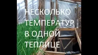 Несколько температурных зон в одной теплице