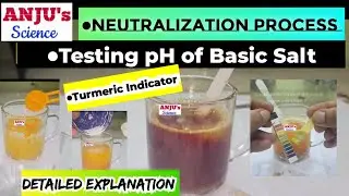 Neutralization Reaction Experiment | Turmeric a Natural Indicator #anjus_science