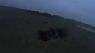 охота на гуся 2023