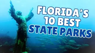 Top 10 State Parks in Florida (And Why They’re So Wildly Unique)