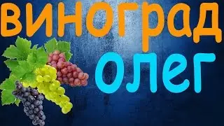 Виноград Олег