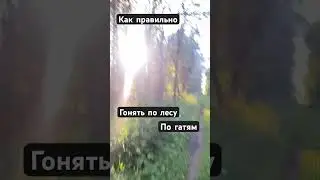 Как правильно гонять на велосипедах по лесным дорогам, по гатям. 🚴🚴‍♀️🚴‍♂️🚵🚵‍♀️🚵‍♂️