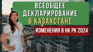 Universal Declaration in Kazakhstan / Amendments to the Tax Code of the Republic of Kazakhstan 2024