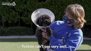 Harmony & Tootsie are a precious pair that can't be missed!