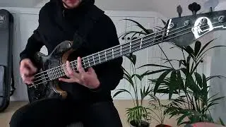 ERRA - SNOWBLOOD: BASS COVER