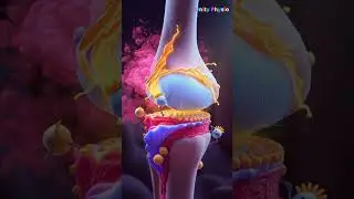 The Secret World of Knee Healing: Animated in 3D