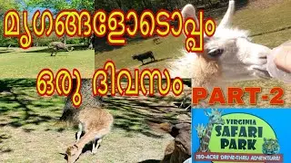 മൃഗങ്ങളോടൊപ്പം ഒരു ദിവസം  | virginia | drive thru safari | wildlife safari part2