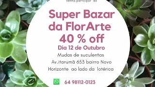 Bazar 40% off cactos e suculentas Itumbiara go FlorArte