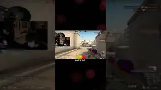 Anastaze и сумасшедший дигл 