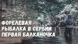 РЫБАЛКА НА УЛЬТРАЛАЙТ В СЕРБИИ. Форелевая рыбалка на ультралайт в Сербии. Поймал первую балканочку!