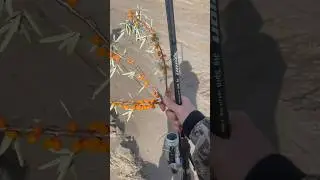 На рыбалку