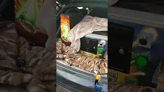 Timeshock Pinball haul