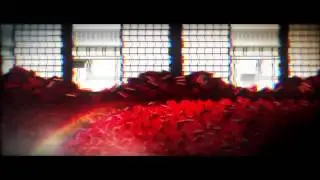 Monogatari -AMV  Into The Labyrinth
