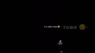TokTok lav 2022