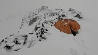 Визбор - 
