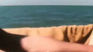 Арго (Иверия)