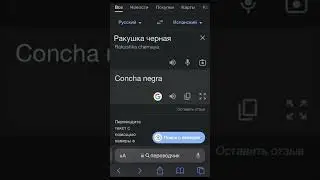 Кто засмеялся гей - проверим много-ли натуралов осталось на земле! 
