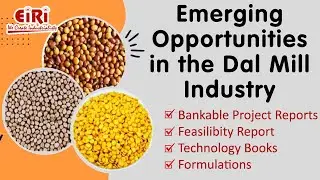 Emerging Opportunities in the Dal Mill Industry