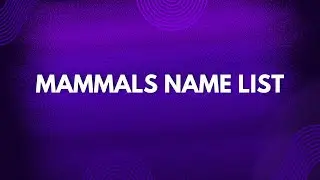 MAMMALS IMAGE LIST || RevealYourSkill