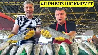 ⚡ШОК!!!⚓ОДЕССКИЙ ПРИВОЗ 🐟 КЕФАЛЬ 🍉 АРБУЗЫ 🐷 САЛО💥БОЛЬШОЙ ОБЗОР 05.08.2023👍