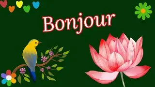 BONJOUR !!! Bonne Journée ! 🍀🌺🦜