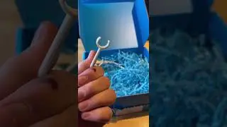 Дракон?! 
