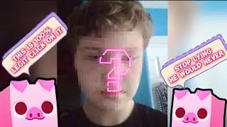 Face Reveal