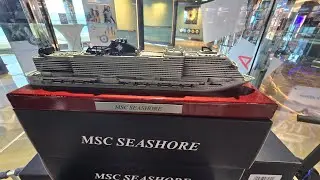 MSC Seashore Bahamas Cruise - Ocean Cay - Nassau - So Much Fun !! 🛳 🌊 🏝 🚢