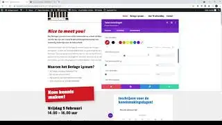 WordPress met Divi Pagebuilder: WP tekstopmaak