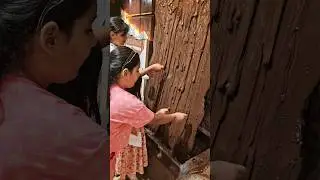 اكلنا من شلال الشوكولاتة هيلين وهيفي