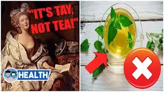 MINT TEA ISN’T TEA?! [How to Brew Tea: Best Tea Facts and Tips for Beginners]