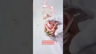Внутренний мир зефирных цветов