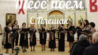 Вокальный ансамбль Фриссон - Тебе поем (Плешак)