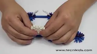 Catapulta