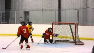 Luke's Hockey