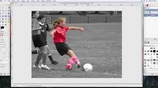 How to make the background of an image Black and White in GIMP